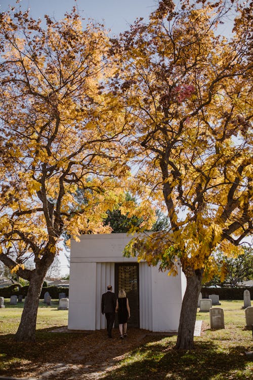 Photos gratuites de arbres d'automne, chagrin, cimetière