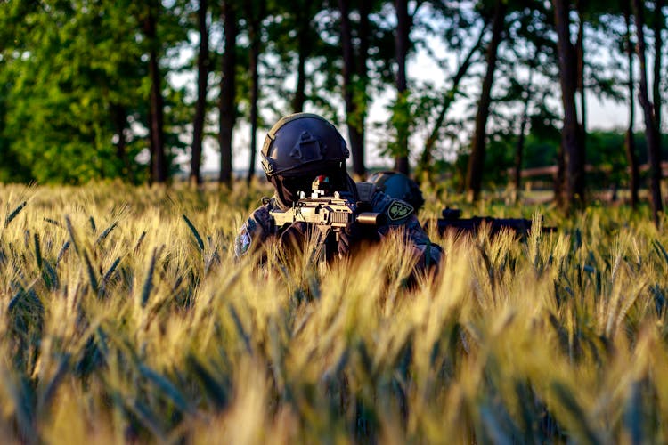 An Airsoft Player In Tactical Gear On A Wheat Field