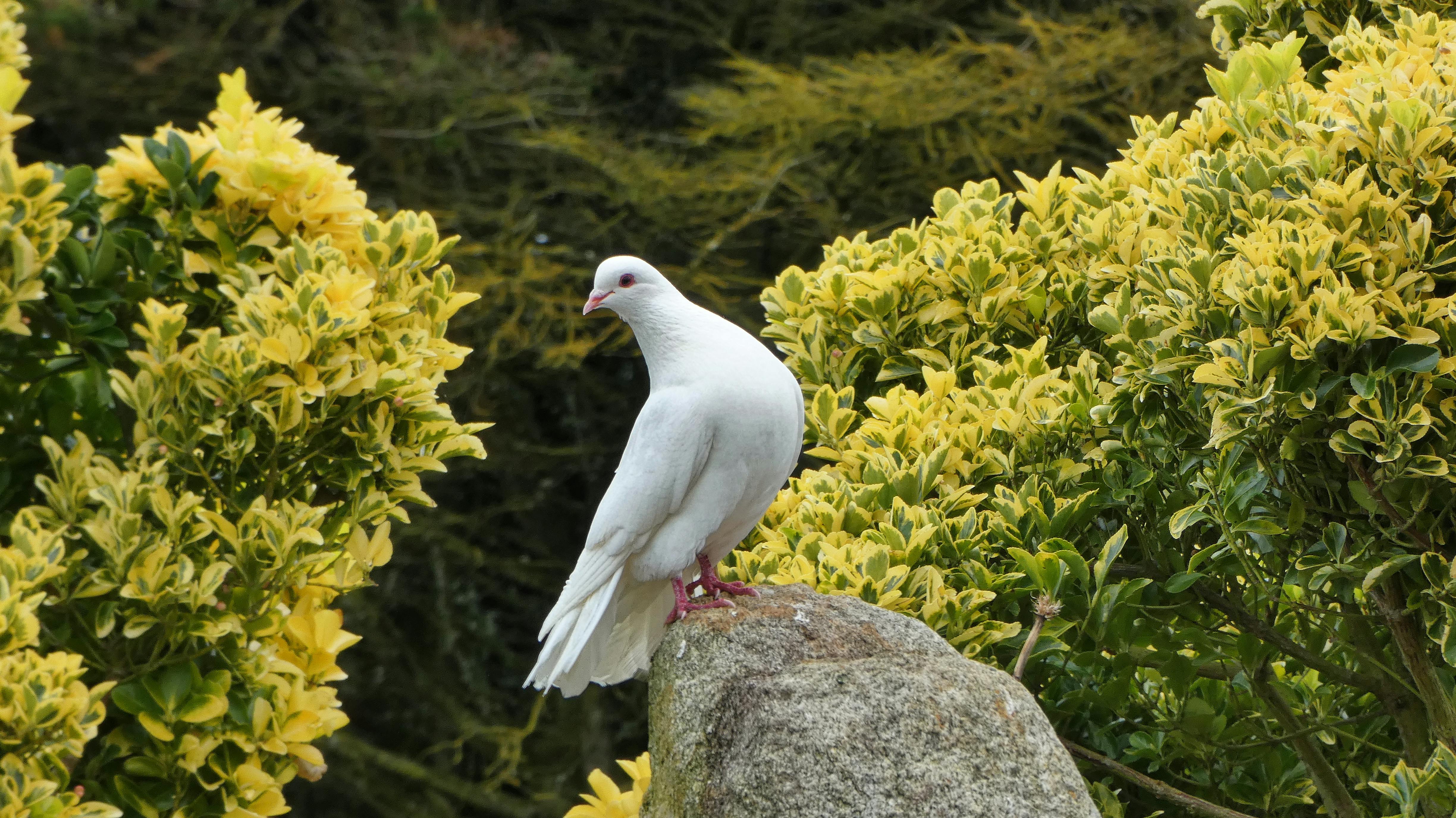 Scoreboard and stands in a cricket stadium
