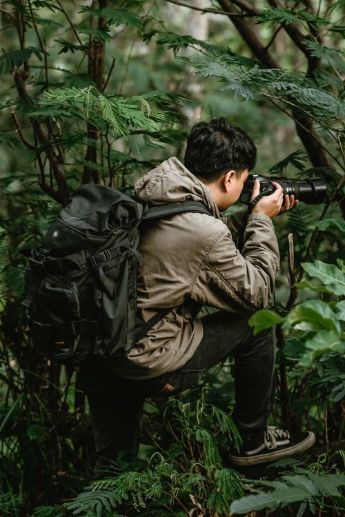 Free A man with a backpack and camera taking photos in a lush, green forest. Stock Photo