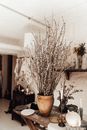 Sprigs of sallow in clay vase on wooden table with teapot and burning candles in house