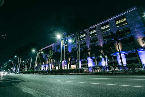 бесплатная Зеленые пальмы на тротуаре возле серого здания в ночное время Стоковое фото