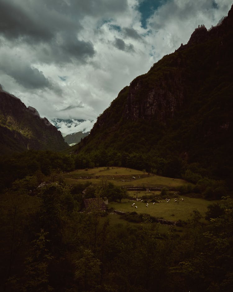 Farm In Valley, Accursed Mountains, Albania