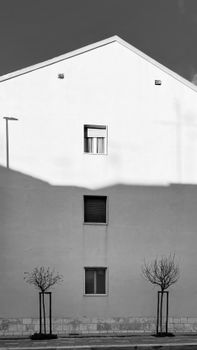 Grayscale image of a minimalist building facade with bare trees.