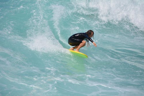 Free stock photo of big wave, bondi beach, ocean waves Stock Photo