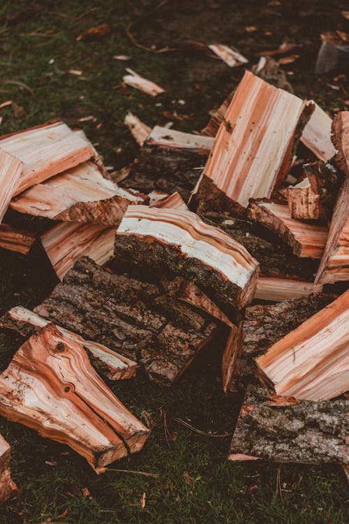 High angle of heap of cut wood with dry and rough bark on meadow in daytime