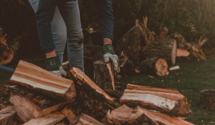 Crop Man On Lawn With Firewood And Stumps