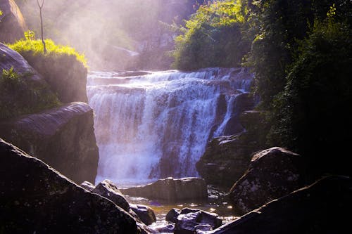 Kostenlos Wasserfälle, Umgeben Von Gras Und Felsen Stock-Foto