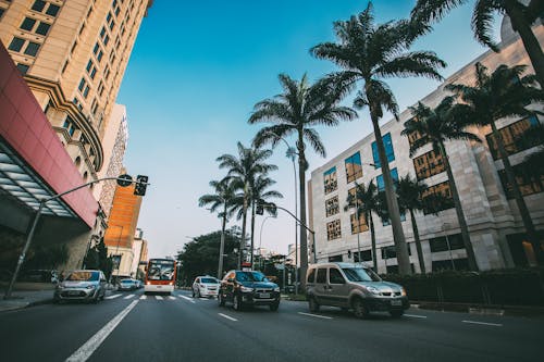 白天开放道路上的汽车