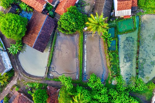 Free Aerial shot of vibrant rice paddies and traditional houses in Banten, Indonesia, showcasing rural landscape. Stock Photo