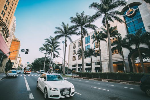 A bustling city street featuring palm trees and modern buildings under a clear blue sky.