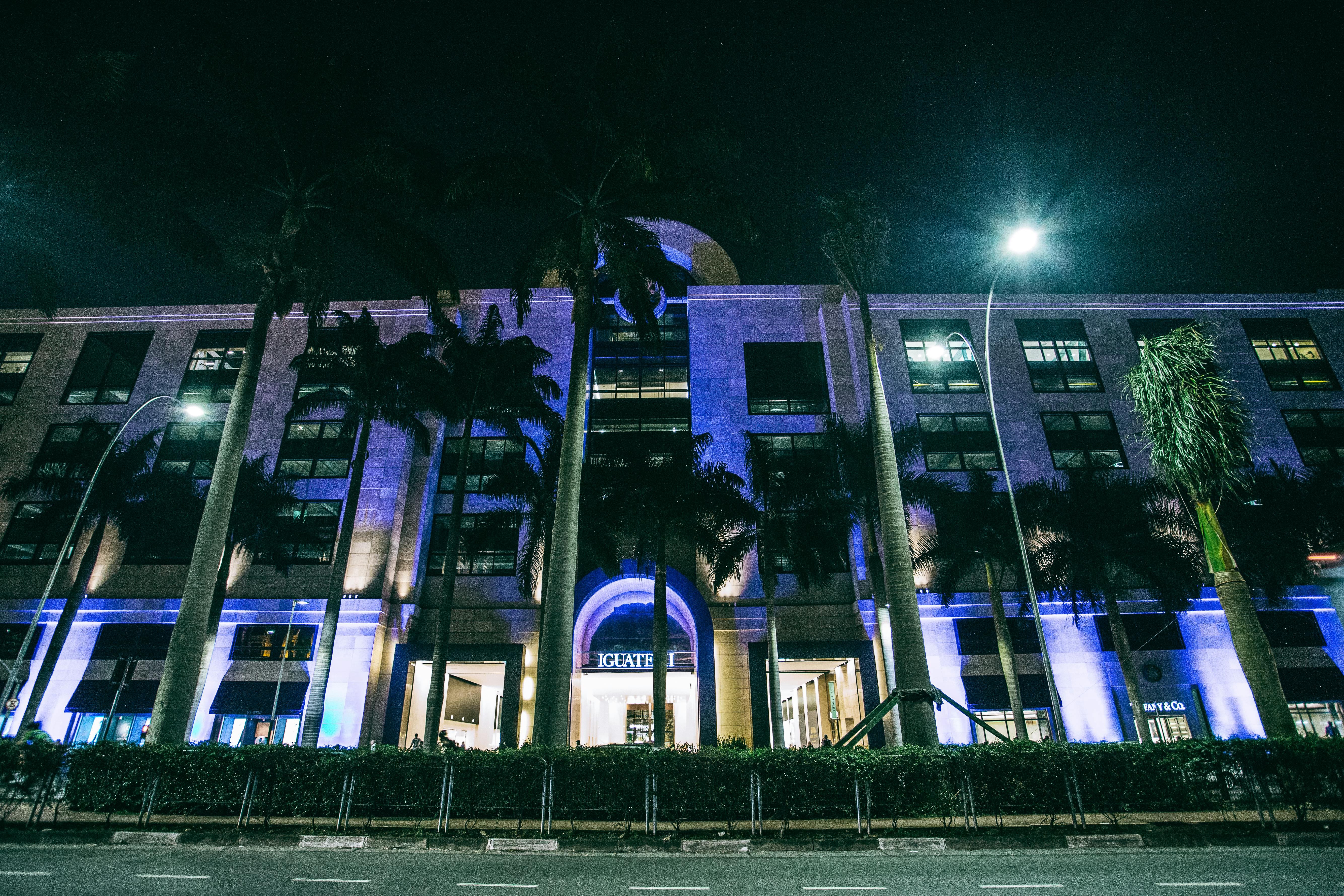 这座现代化建筑在夜间被充满活力的城市灯光和棕榈树照亮