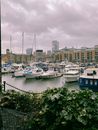 Yachts moored on river shore in port