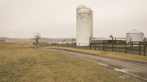 Immagine gratuita di agricoltura, azienda agricola, campagna