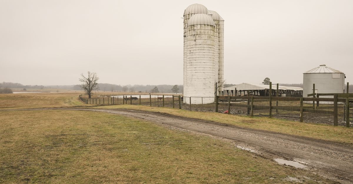 Rural landscape featuring silos and barn in Louisburg, North Carolina.