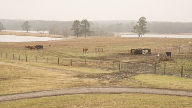 farm fencing