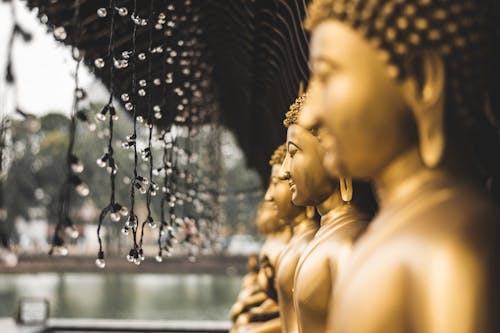 String Lights Hanging Near a Golden Buddha