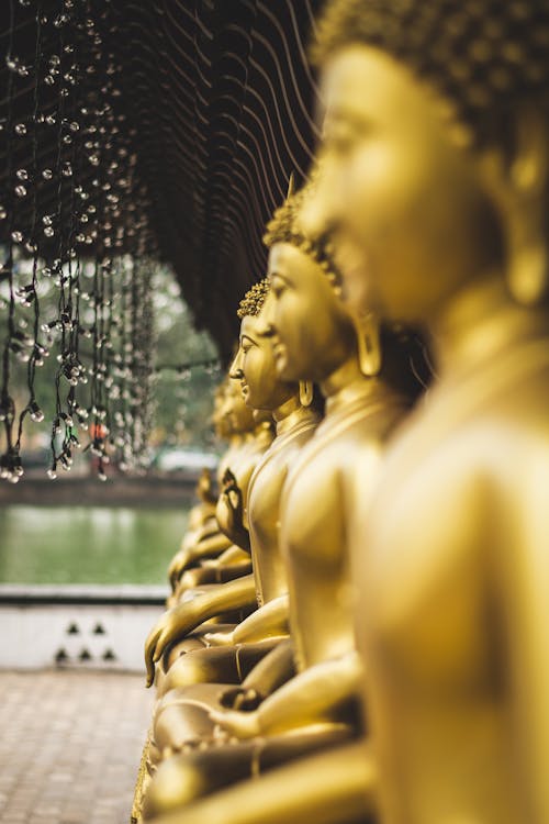 String Lights Hanging Near a Golden Buddha
