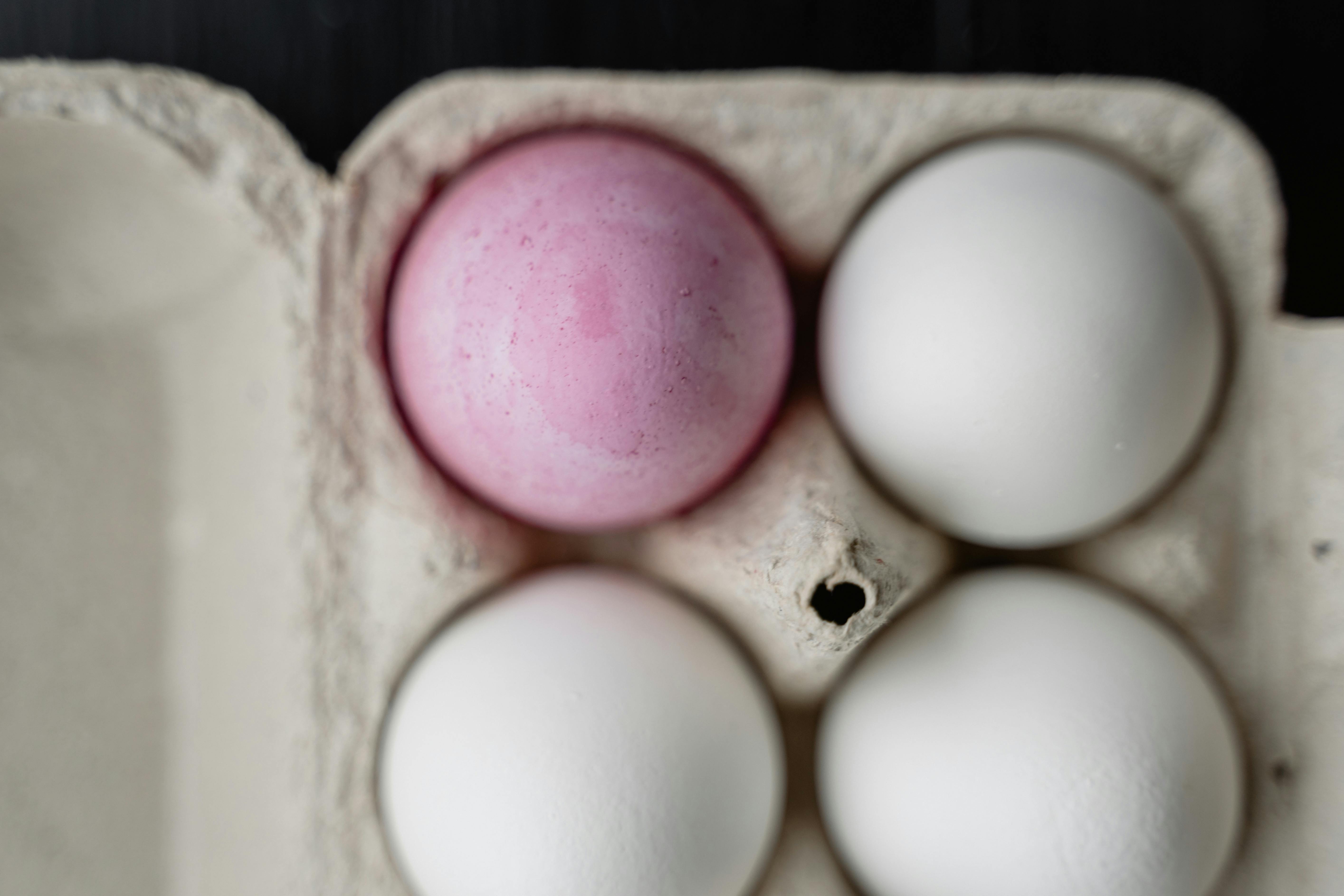 Diferença entre tráfego pago e orgânico