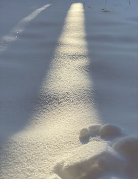 Sunlight casting shadows on a snowy path with visible footprints, capturing a serene winter moment.