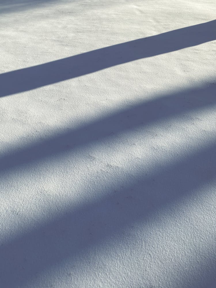 Shadows On A White Wall 