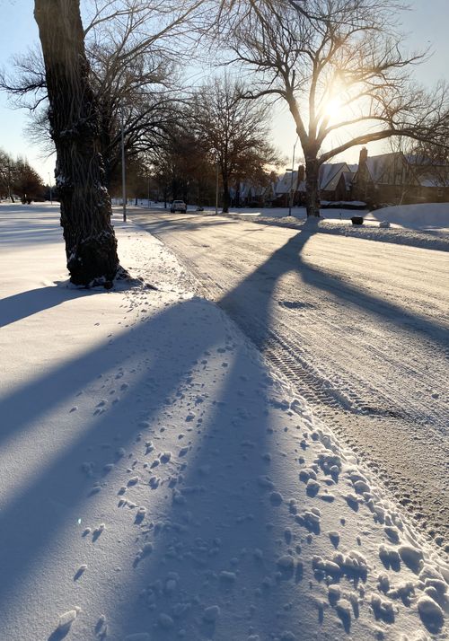 Free A winter scene of a snow-covered road with sunlight streaming through trees, creating long shadows. Stock Photo