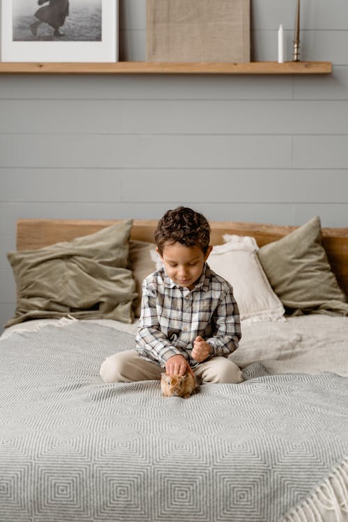 Free Adorable Child sitting on Bed petting a Bunny Stock Photo