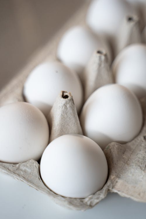 Free Close-up Photo of Eggs on Tray  Stock Photo