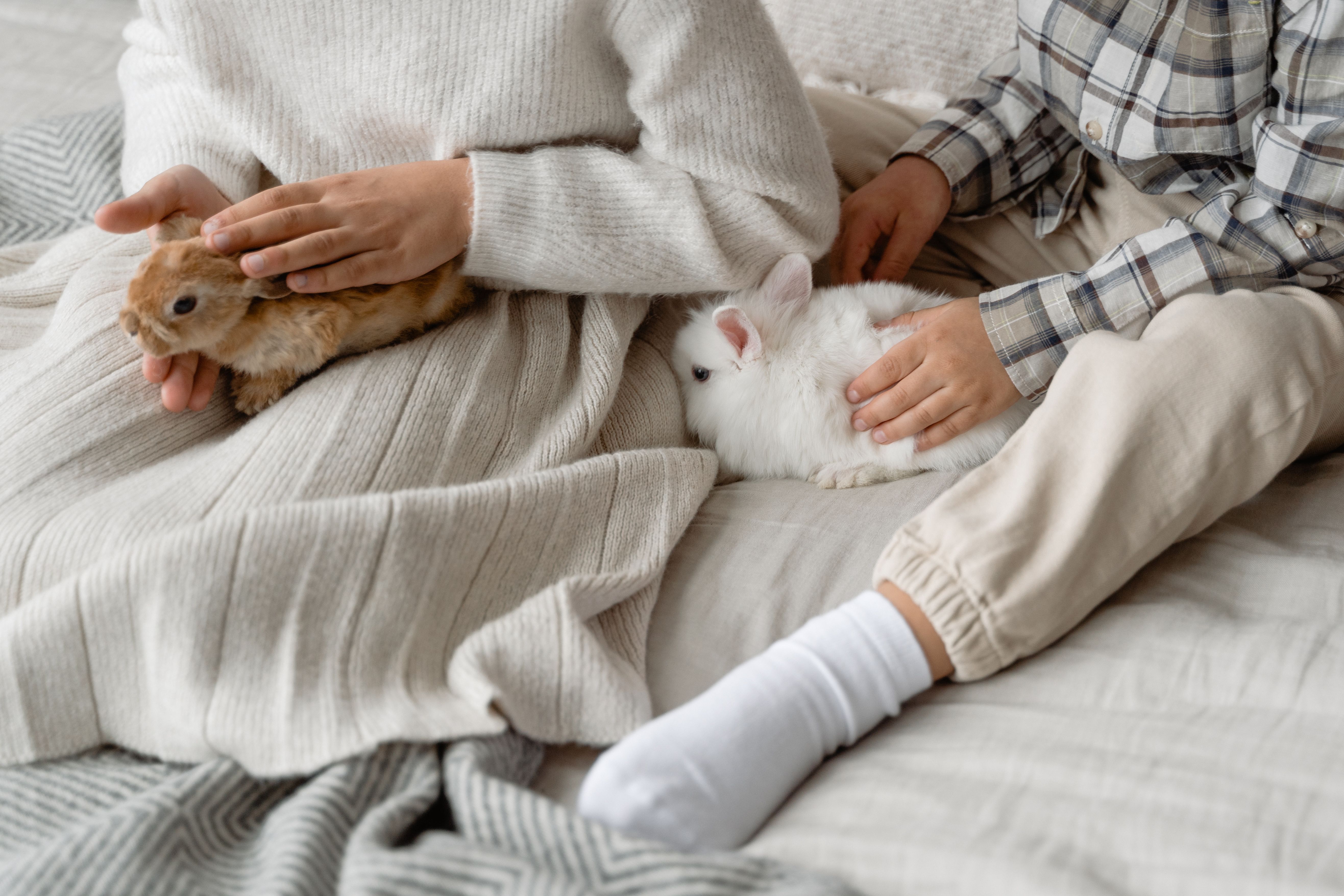 Two children gently petting rabbits indoors, showcasing warmth and innocence.