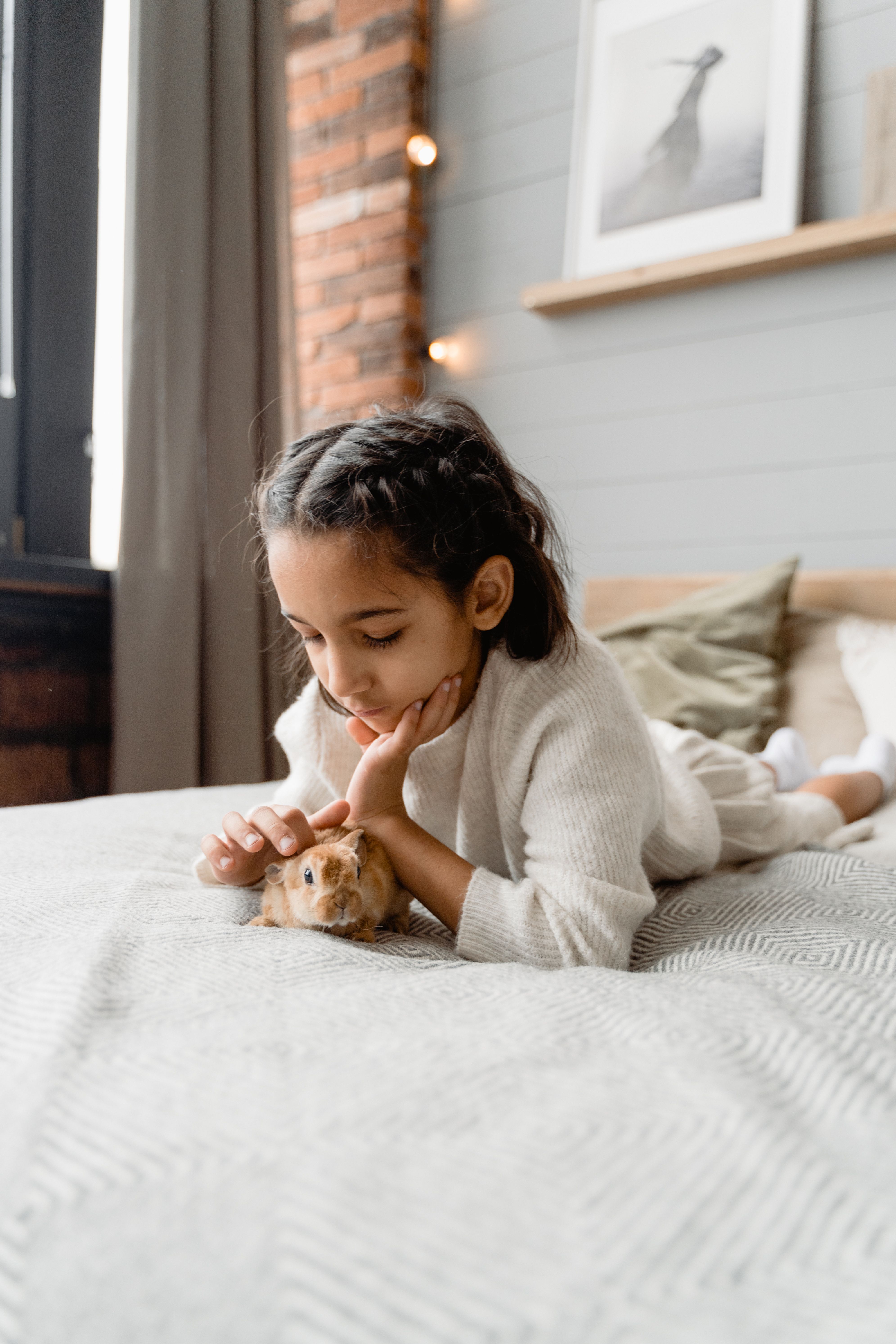 Choosing A Pet