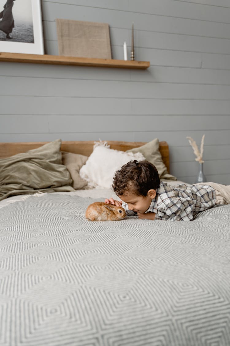 A Boy Lying On Bed Petting A Brown Rabbit