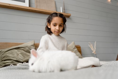 Free A young girl in a cozy sweater enjoys the company of her fluffy white rabbit indoors. Stock Photo