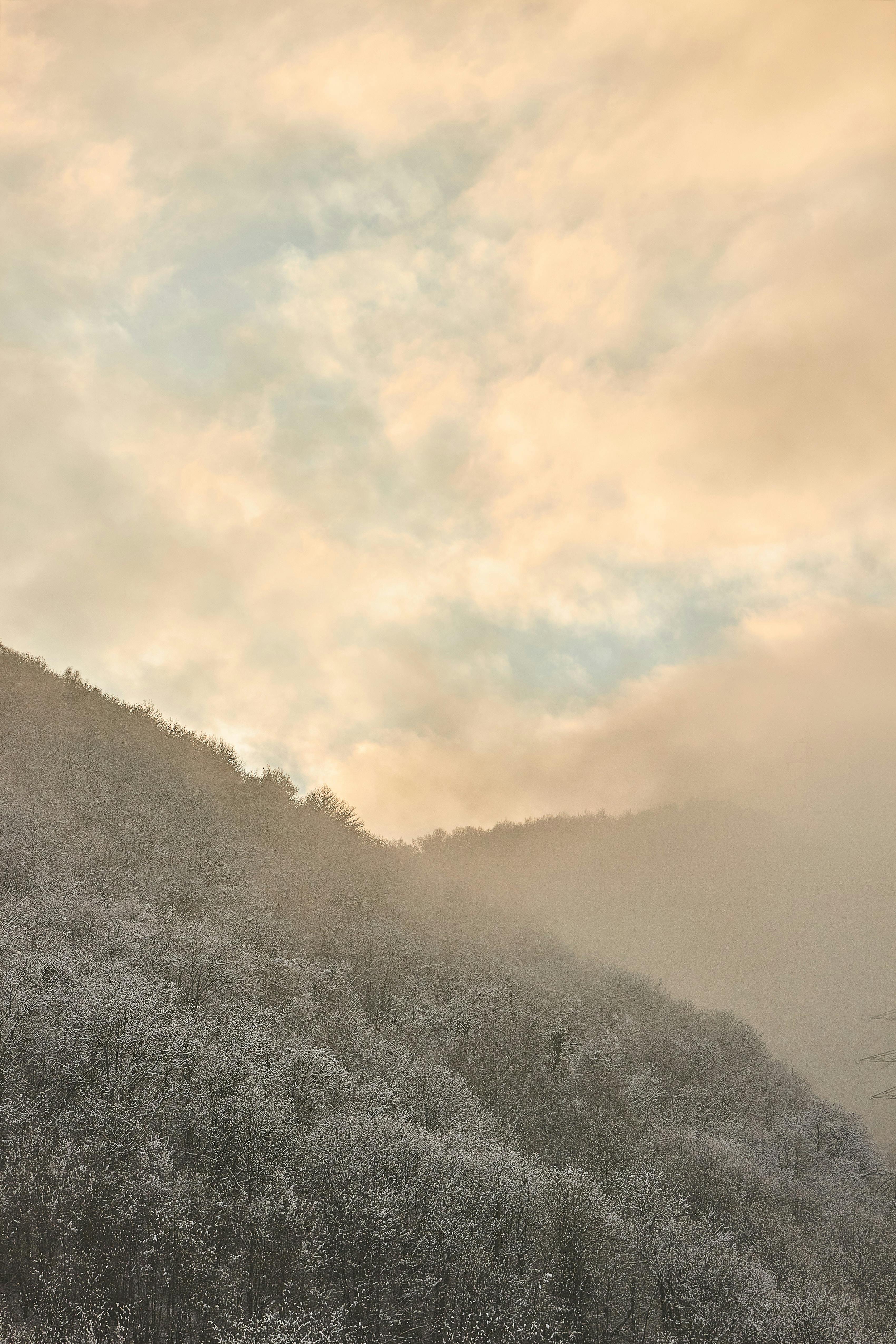 Toalha de Mesa Bordada - Imagem 2