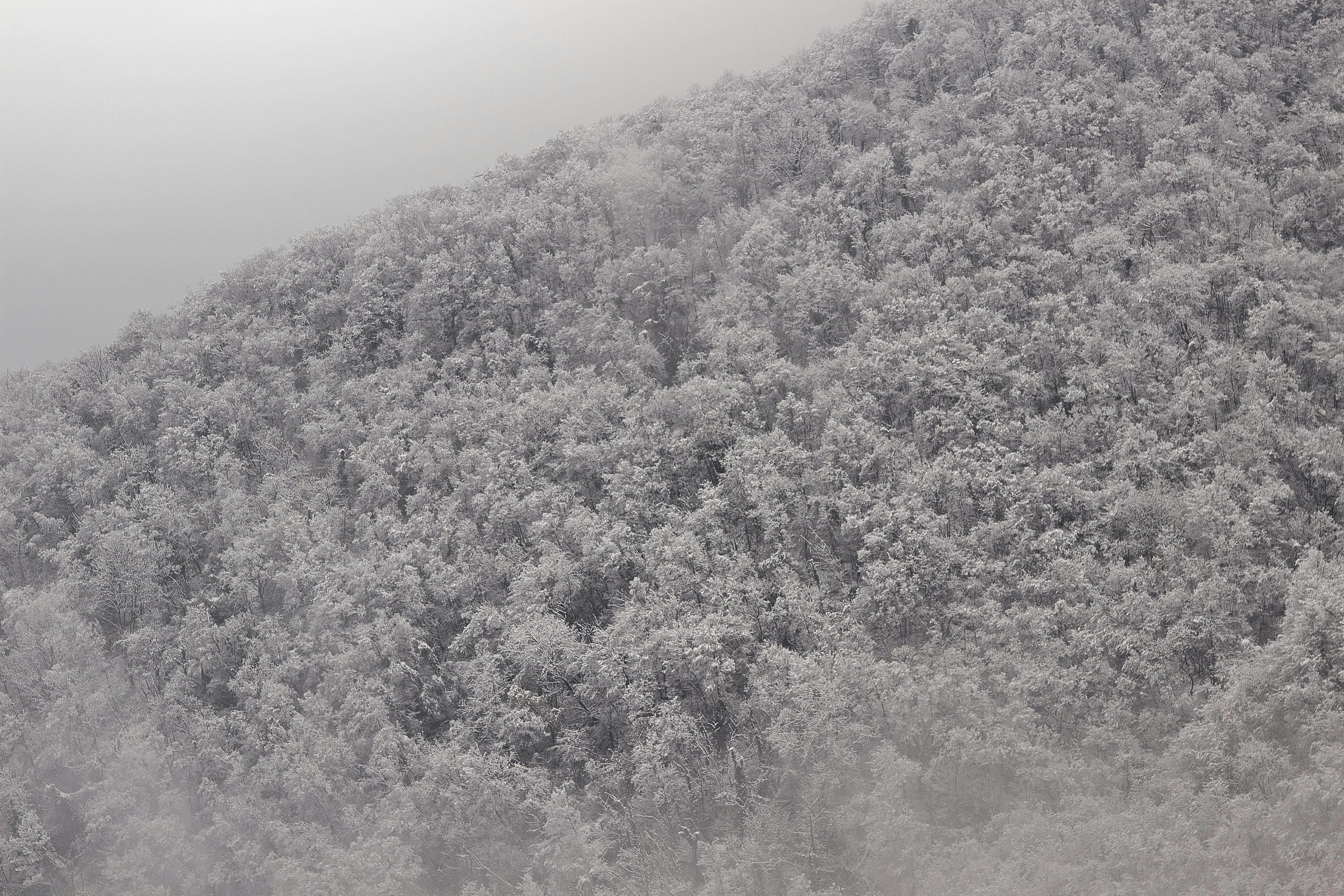 Toalha de Mesa Bordada - Imagem 3