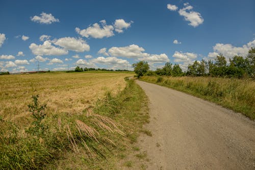Dirt Road Beside Field