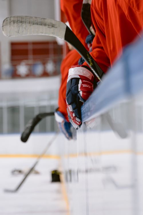 Free A close-up of hockey players wearing red jerseys lined up on an ice rink bench with their hockey sticks. Stock Photo
