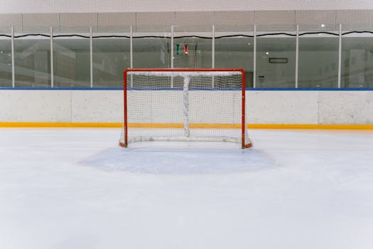 Reglas y regulaciones del deporte Hockey sobre césped