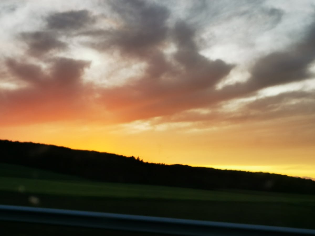Pakistani cricket fans placing live bets during a match