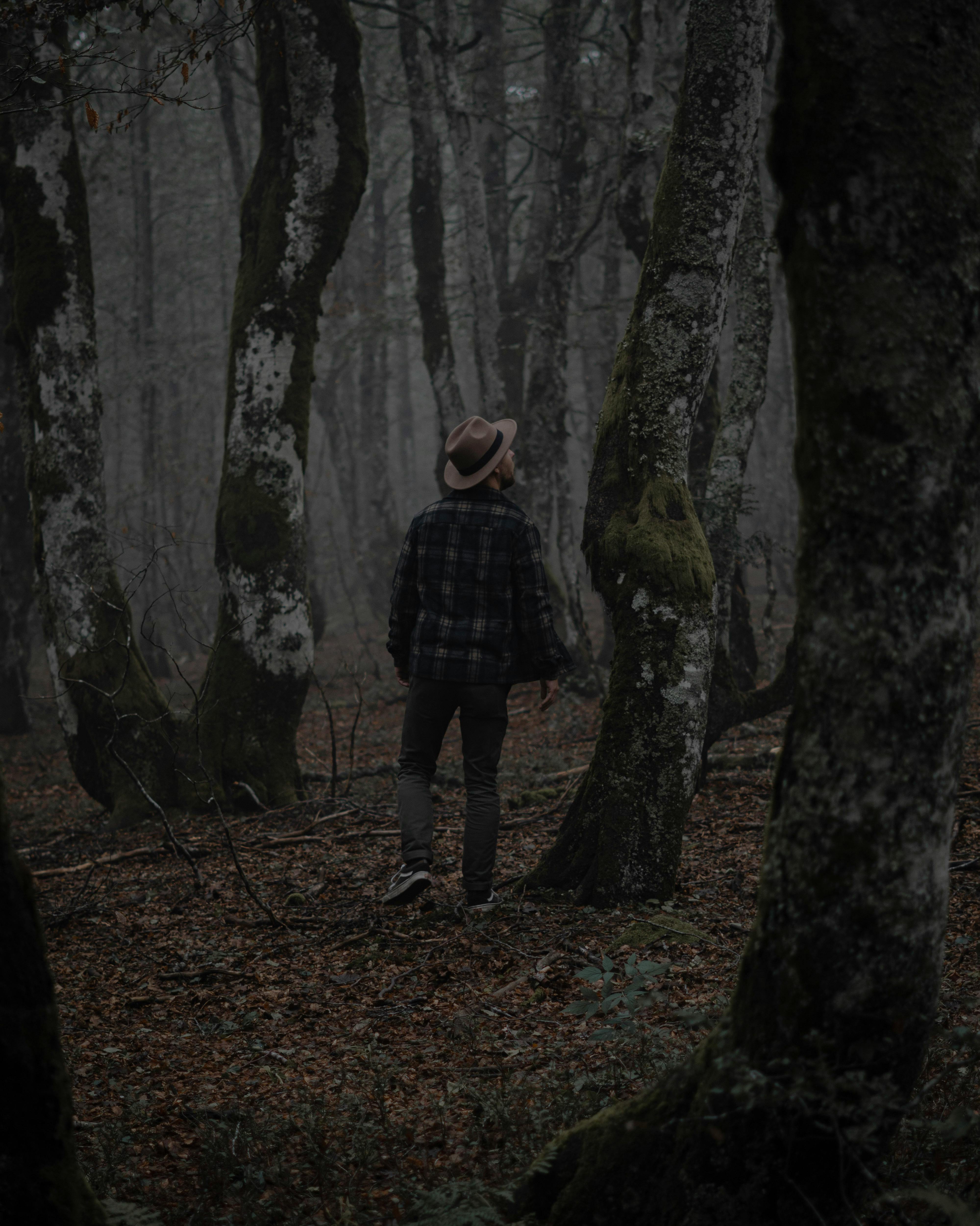 Full body back view of anonymous male explorer in hat strolling in woods with tall tree trunks in misty forest