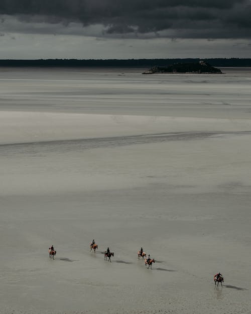 Group of distant people riding horses on wet beach near rippling sea against overcast sky and green forest in nature