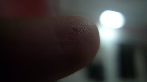 Free stock photo of finger, fingerprint, focus