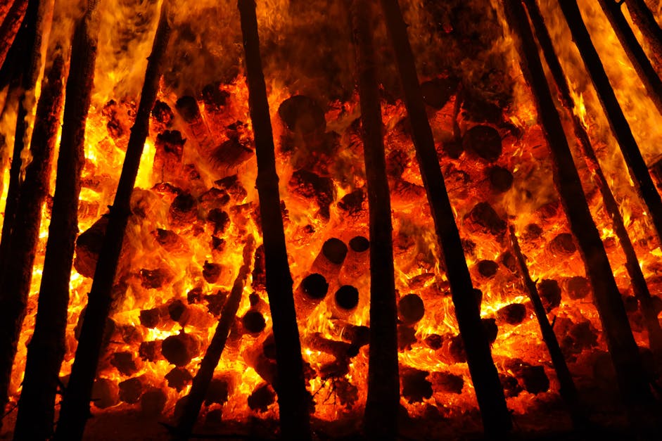 Free stock photo of burning, fire, flame