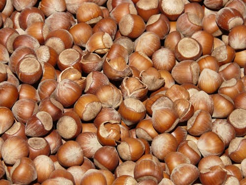 Free Nuts Stock Photo