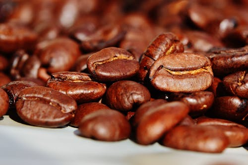 Free Brown Coffee Beans on White Ceramic Plate Stock Photo
