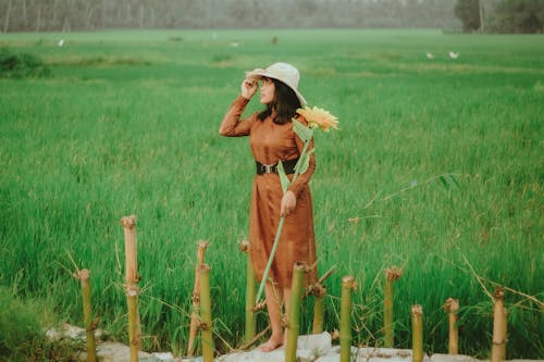 Contemplative ethnic woman with blooming sunflower in countryside field