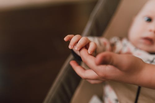 Free Person Holding the Baby's Hand Stock Photo