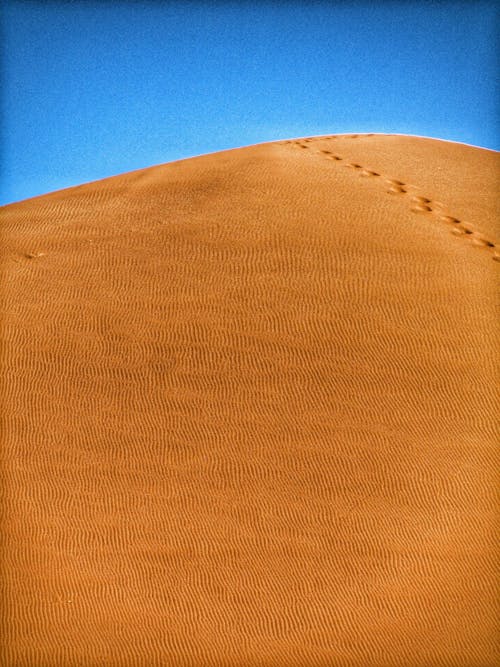 Free stock photo of dune, dunes, sand
