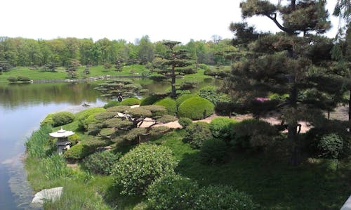 Free stock photo of asian architecture, botanic garden, garden background Stock Photo