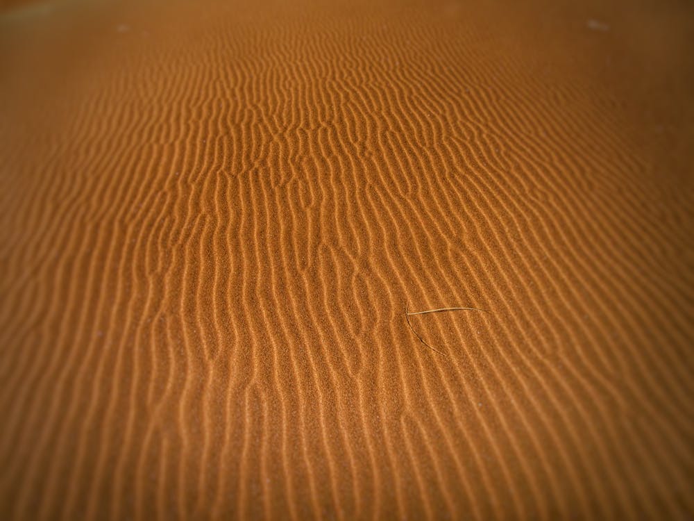 무료 사막 모래 스톡 사진