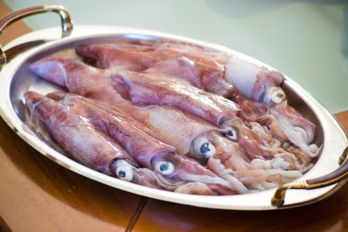 Free stock photo of animal, calamari, cuisine